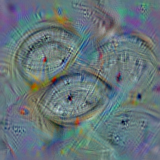 n02794156
